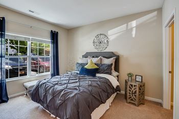 Bedroom with Plush Carpet and Natural Light